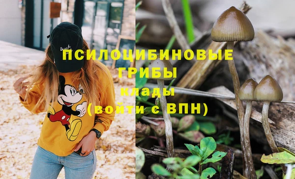 твердый Лабытнанги