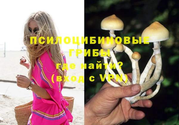 гашик Карталы