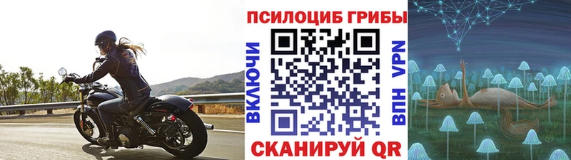Псилоцибиновые грибы ЛСД ссылка на мегу зеркало Учалы